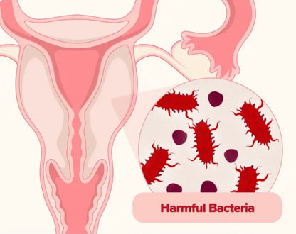 Uro - Probiótico femenino